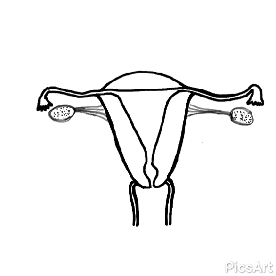 project_1573843417949